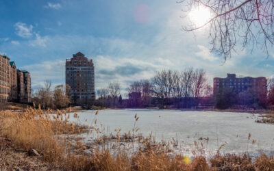 Guide du vendeur d’une propriété de prestige à l’Île-des-Sœurs (Verdun)
